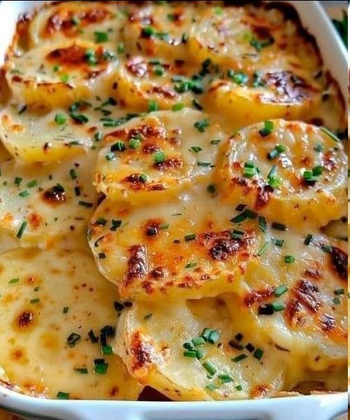 El Mejor Gratinado de Papas con Queso: Un Plato Clásico y Reconfortante