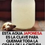 Agua de Jengibre: ¡La Bebida más Saludable para Quemar Grasa en Vientre, Cuello, Brazos, Espalda y Muslos!