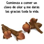 Conoce todos los beneficios del clavo de olor.