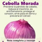 BENEFICIOS DE LA CEBOLLA MORADA