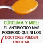 ﻿¡Cúrcuma y miel! Juntos son el antibiótico más poderoso, ni los médicos lo pueden explicar