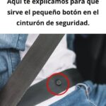 Aquí está la función del pequeño botón en tu cinturón de seguridad