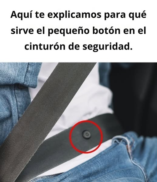 Aquí está la función del pequeño botón en tu cinturón de seguridad