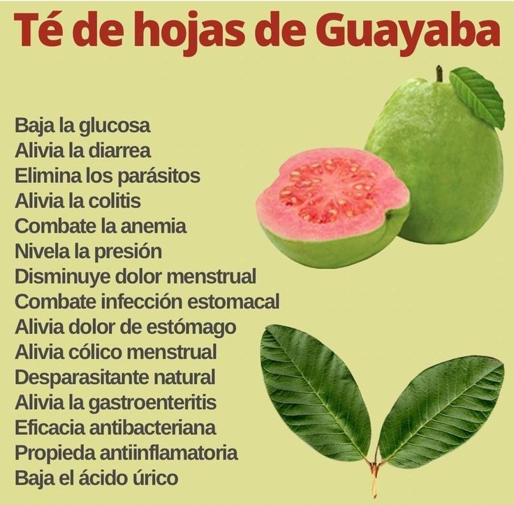 El té de hojas de guayaba es conocido por sus múltiples beneficios para la salud: