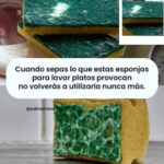 Las esponjas para lavar platos principal generador de bacterias