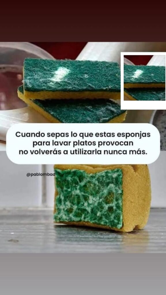 Las esponjas para lavar platos principal generador de bacterias